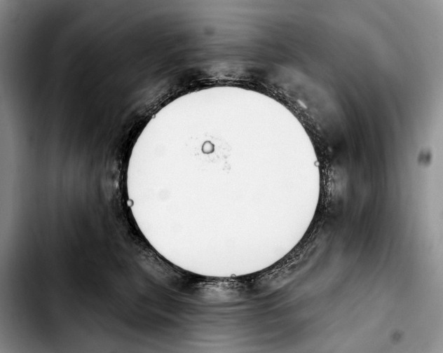 X0000103930567200810101356