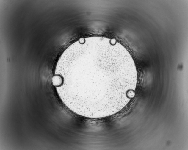 X0000103930568200810101356