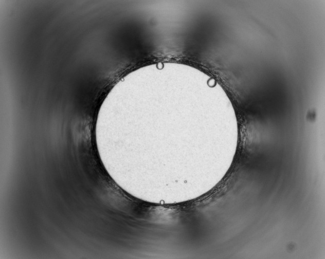 X0000103930570200810101356