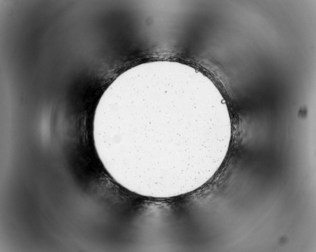 X0000103930572200810101356