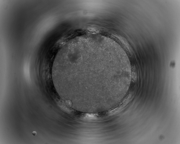 X0000103930573200810101356