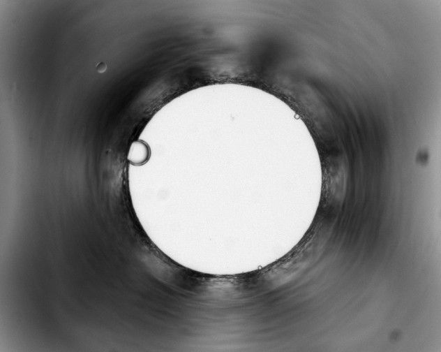 X0000103930574200810101356