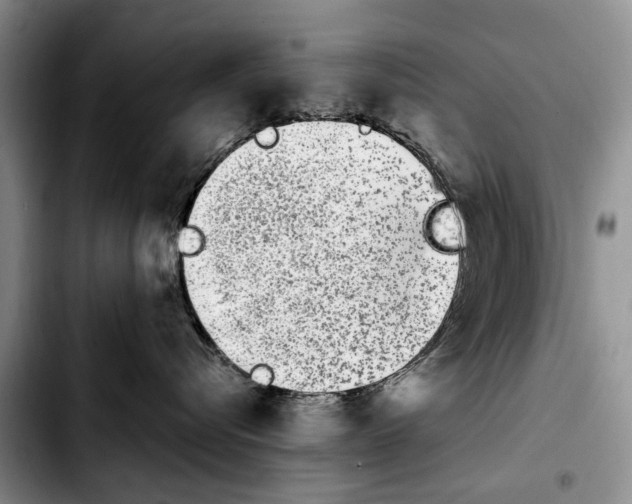 X0000103930576200810101356