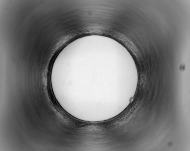 X0000103930578200810101355