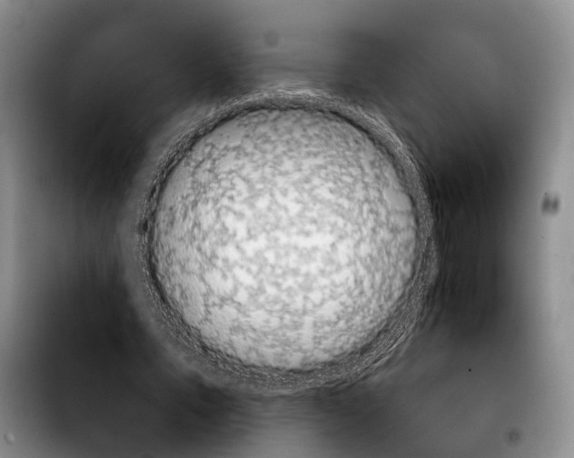 X0000103930579200810101355