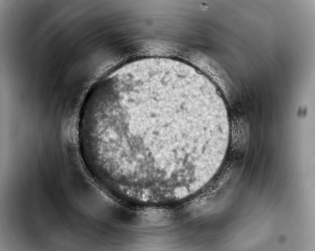 X0000103930581200810101355