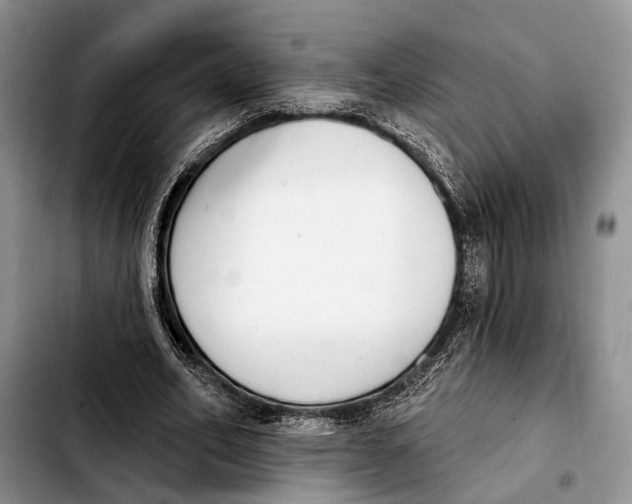 X0000103930582200810101355