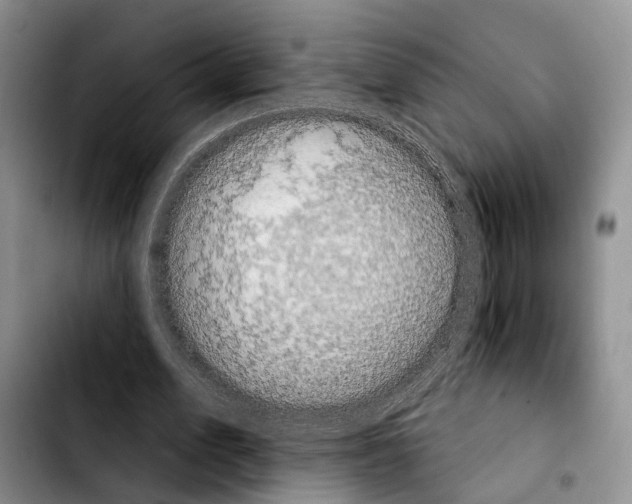 X0000103930583200810101355