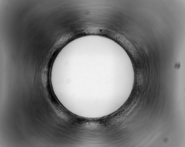 X0000103930586200810101355