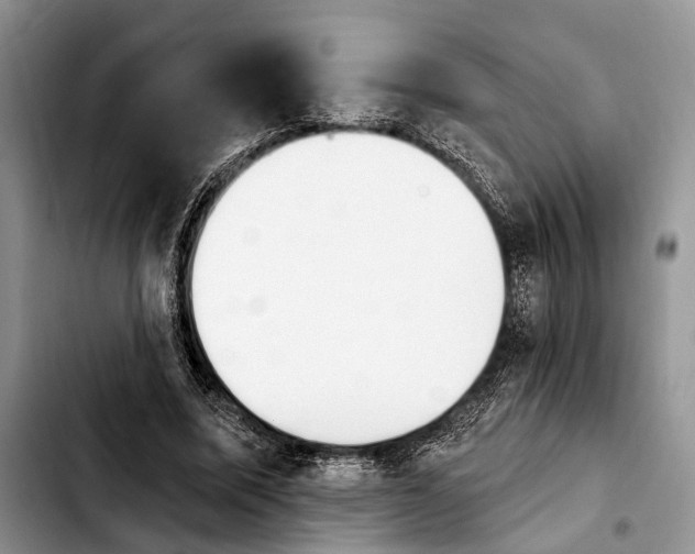 X0000103930587200810101355