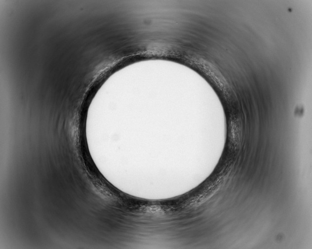 X0000103930588200810101355