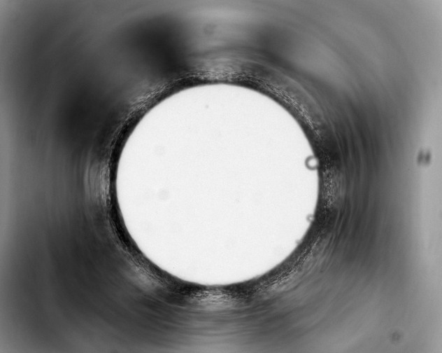 X0000103930589200810101355