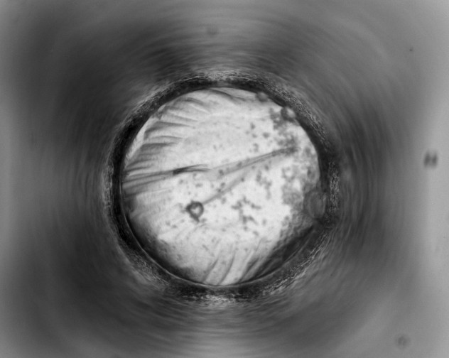 X0000103930592200810101355