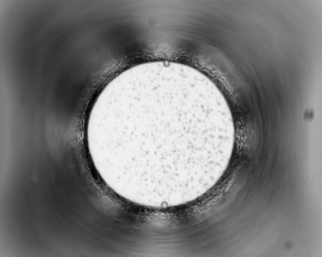 X0000103930593200810101355