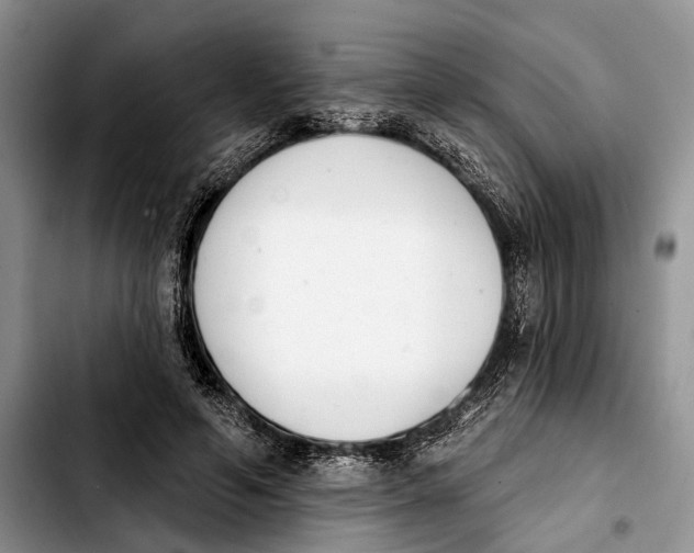 X0000103930594200810101355