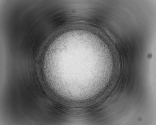 X0000103930595200810101355