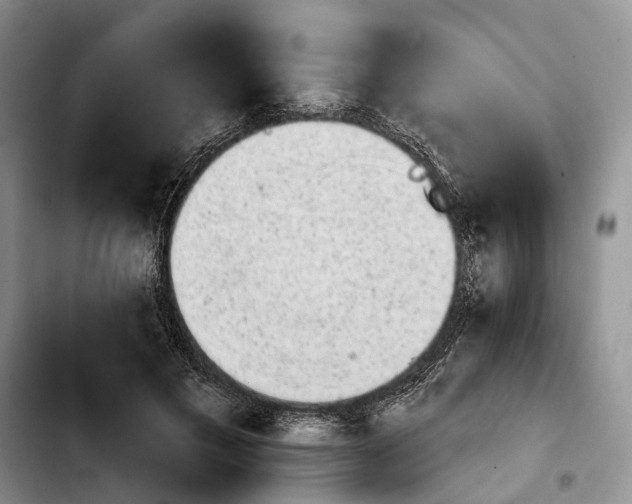 X0000103930597200810101355