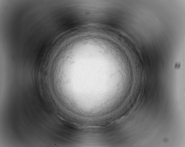 X0000103930599200810101355