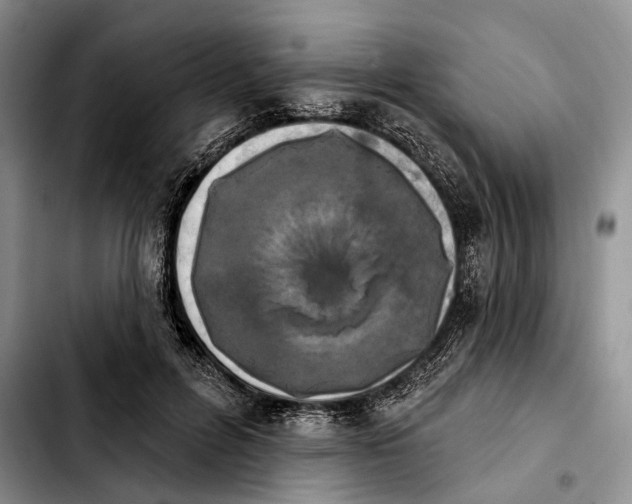 X0000103930600200810101355