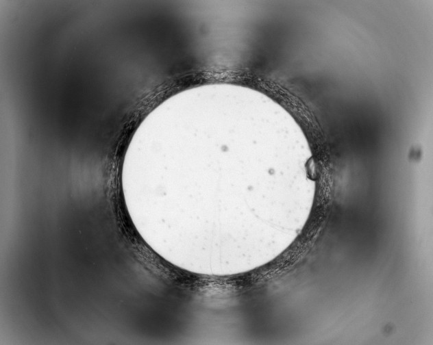 X0000103930601200810101355