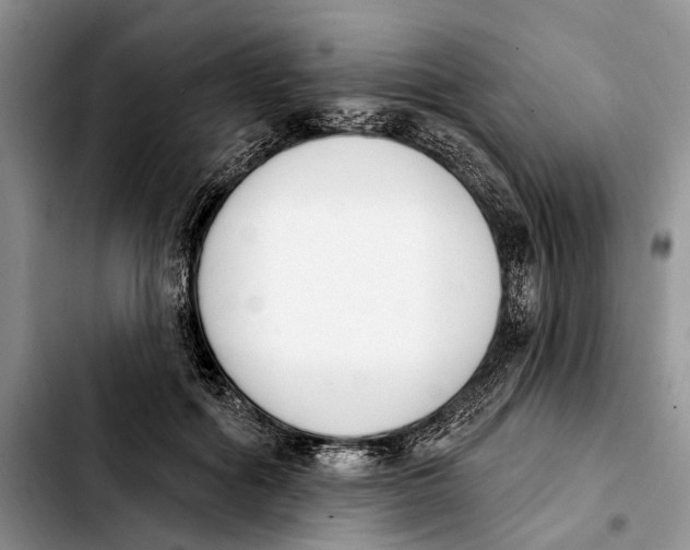 X0000103930602200810101355