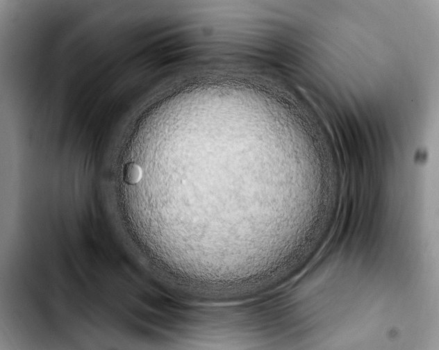 X0000103930603200810101355