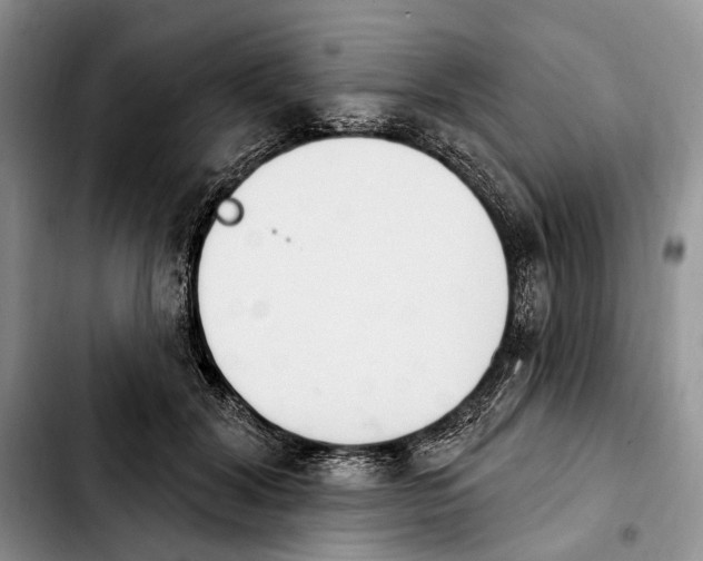 X0000103930604200810101355