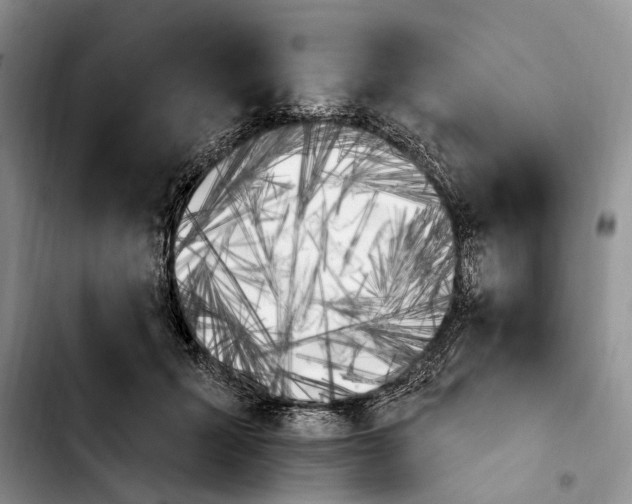 X0000103930605200810101355