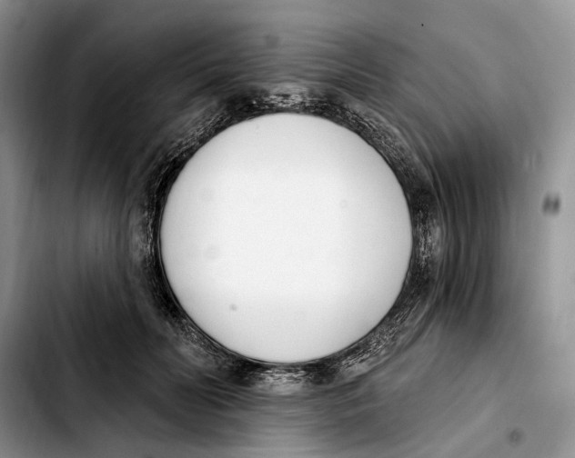 X0000103930606200810101355