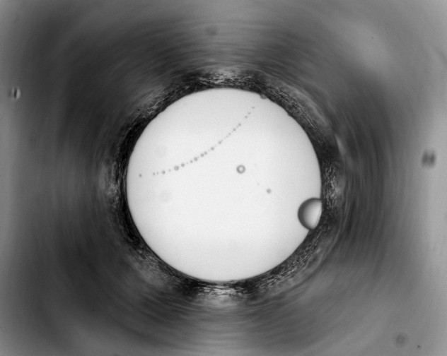 X0000103930607200810101355