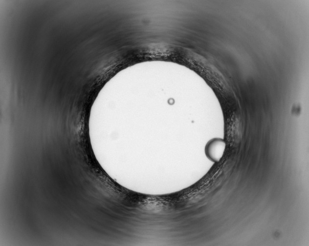 X0000103930608200810101355