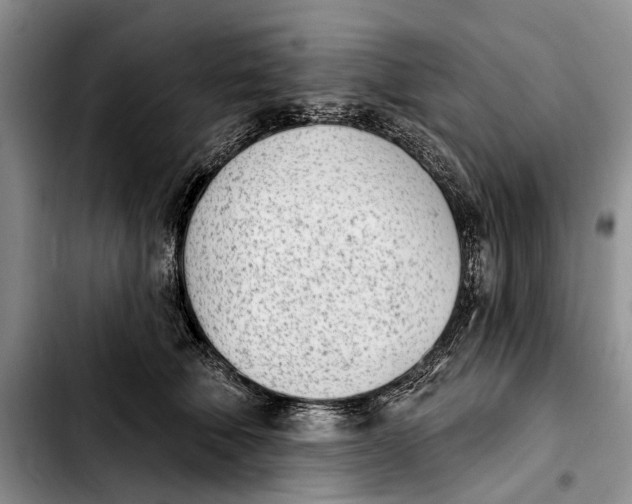 X0000103930610200810101355