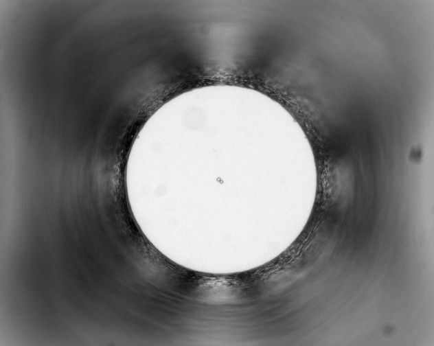 X0000103930611200810101355