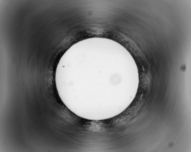 X0000103930612200810101355