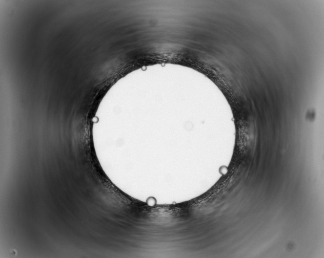 X0000103930613200810101355