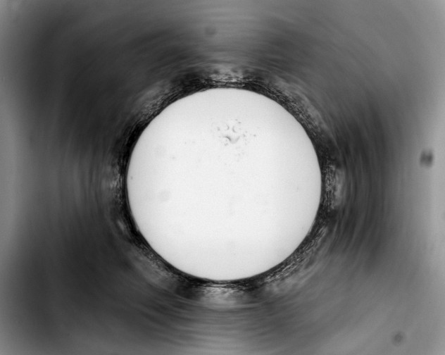 X0000103930614200810101355