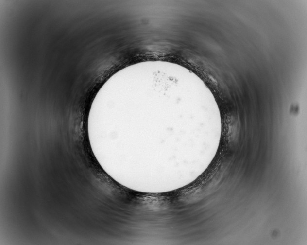 X0000103930615200810101355