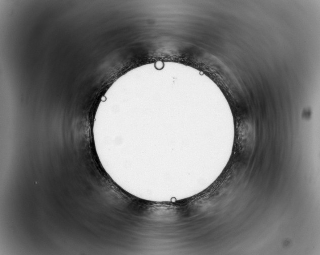 X0000103930617200810101355