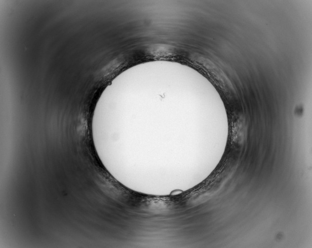 X0000103930618200810101355