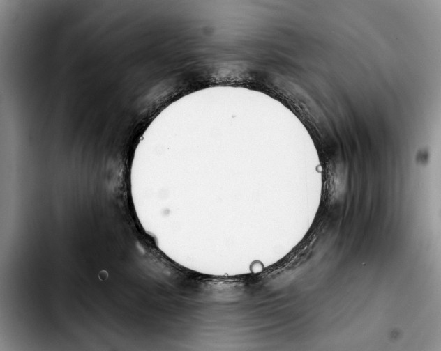 X0000103930619200810101355