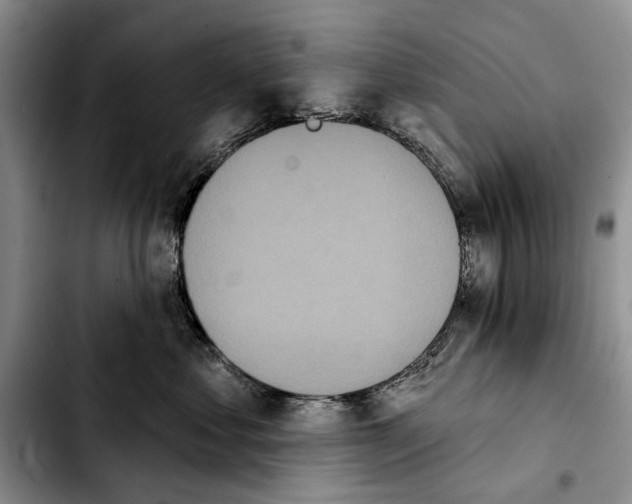 X0000103930621200810101355