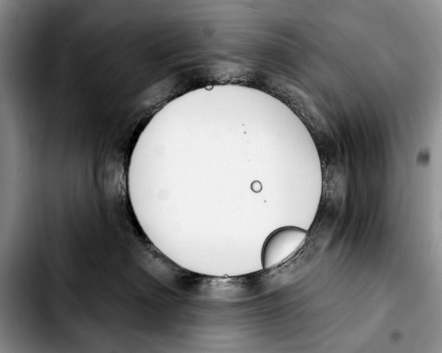 X0000103930622200810101355