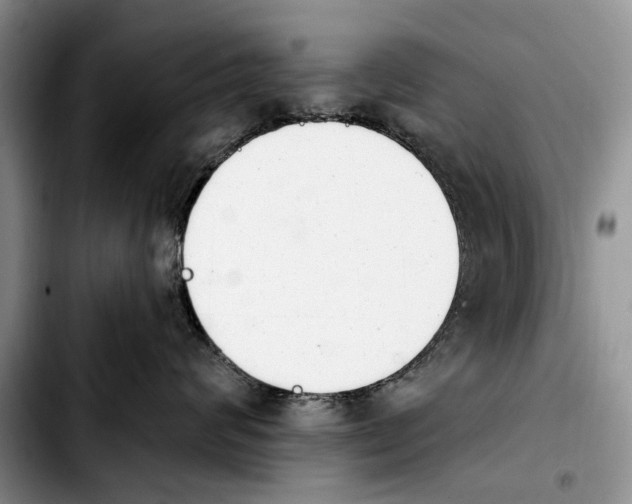 X0000103930624200810101354