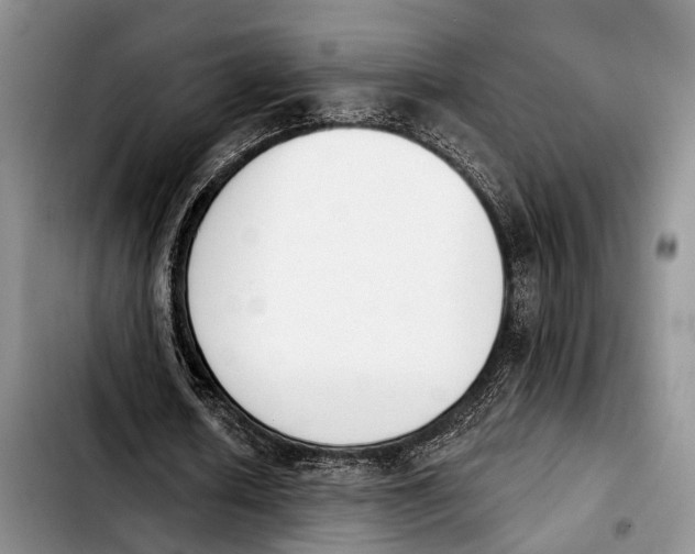 X0000103930626200810101354