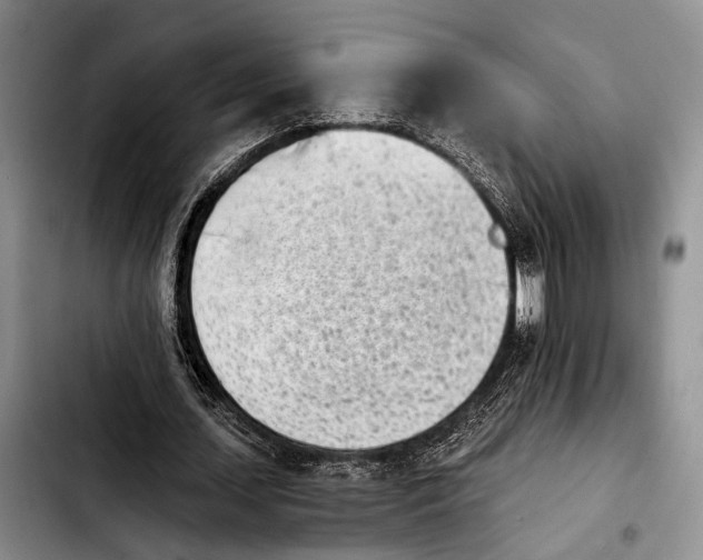 X0000103930627200810101354