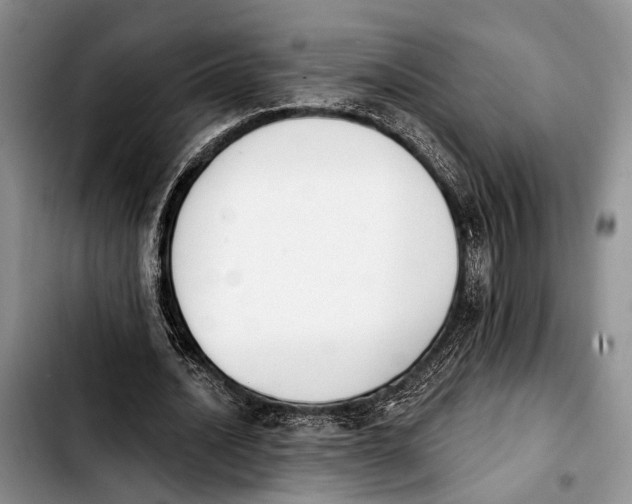 X0000103930628200810101354