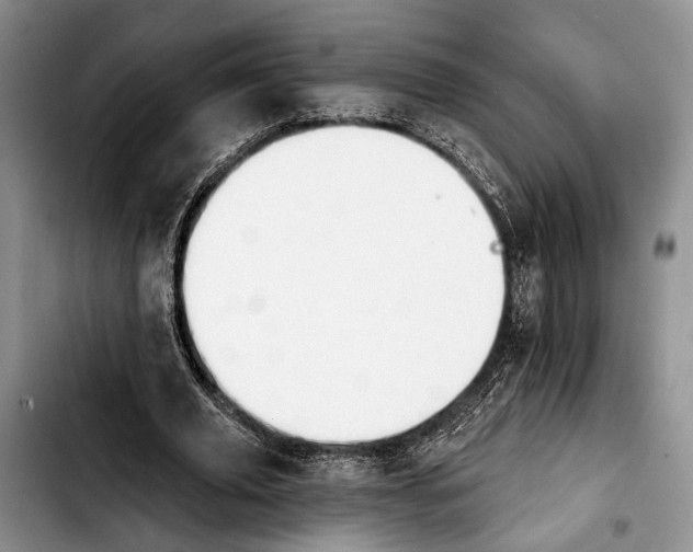 X0000103930629200810101354