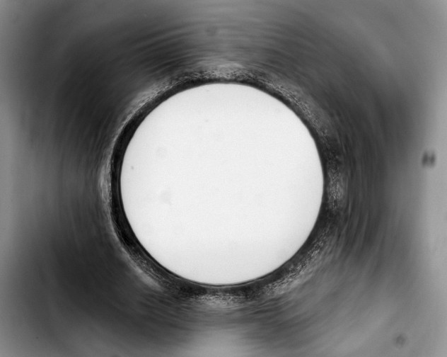 X0000103930630200810101354