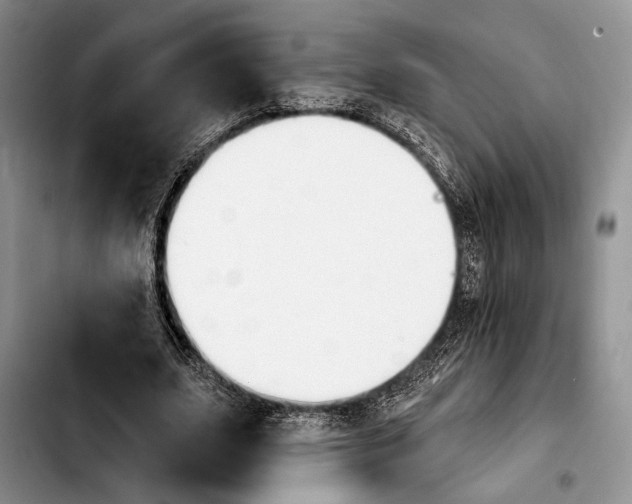 X0000103930631200810101354