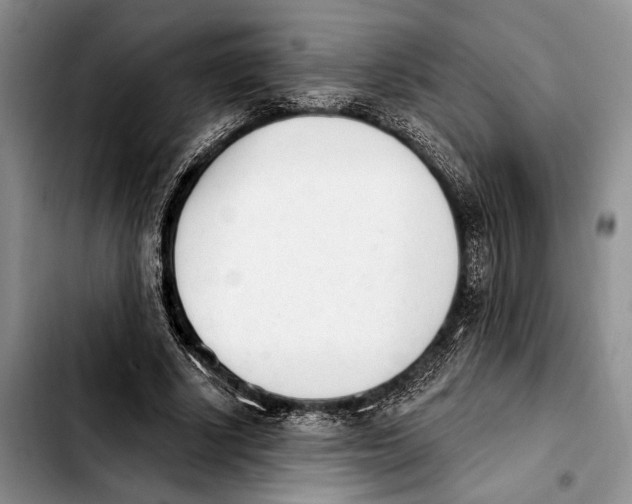 X0000103930634200810101354